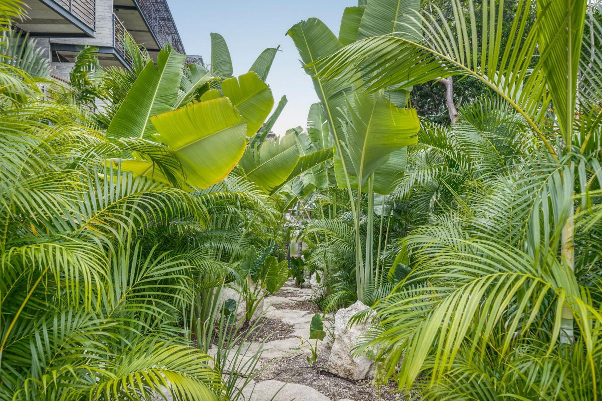 Waterworld Tulum 2Br W Cenote -Lagoons - Big Gym Bagian luar foto